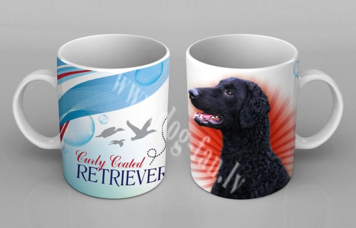 curly_coated_retriever copy